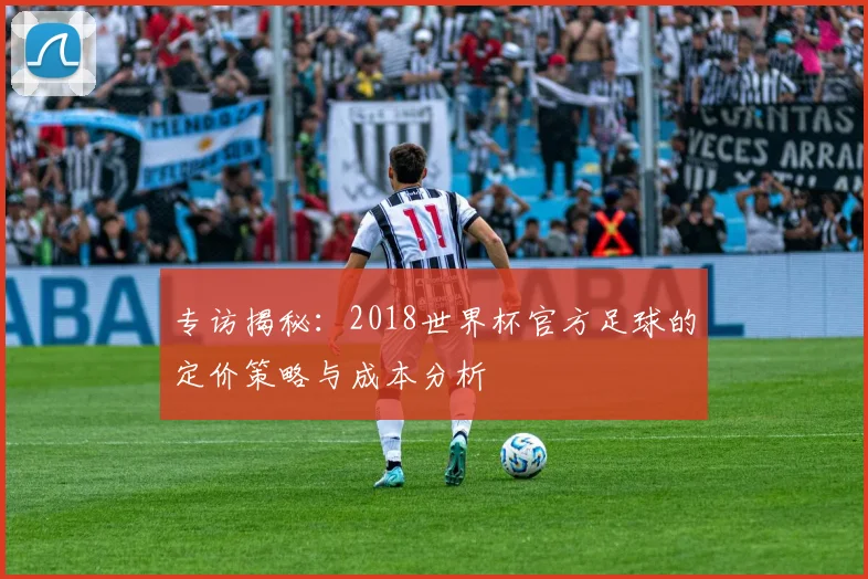专访揭秘:2018世界杯官方足球的定价策略与成本分析