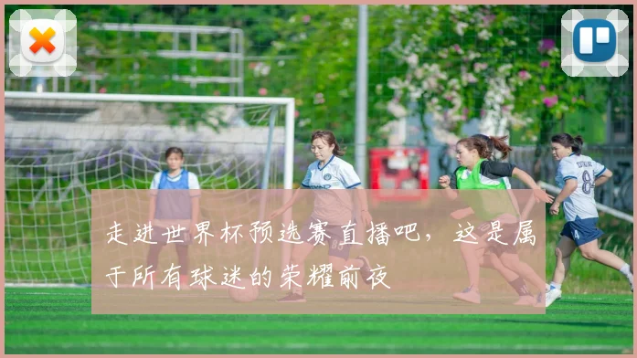 走进世界杯预选赛直播吧,这是属于所有球迷的荣耀前夜