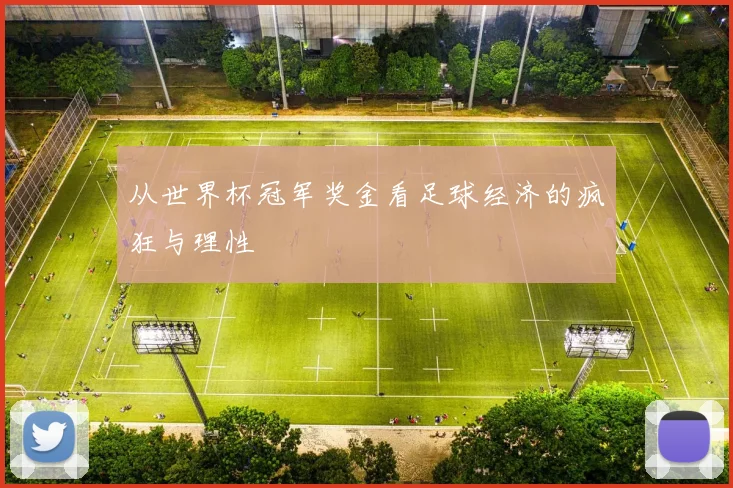 从世界杯冠军奖金看足球经济的疯狂与理性