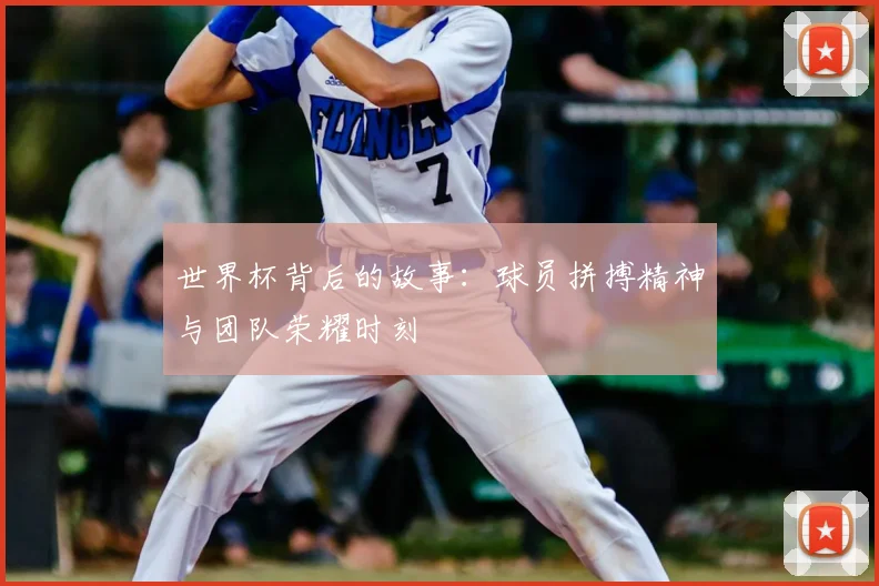 世界杯背后的故事：球员拼搏精神与团队荣耀时刻