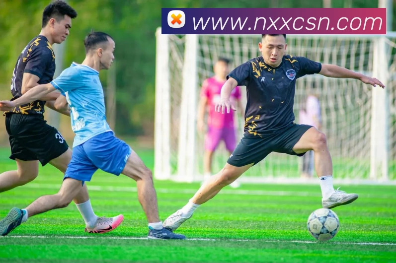 易倍emc平台生态图